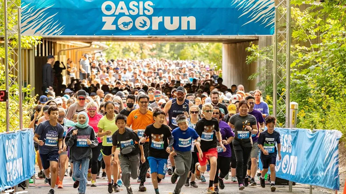 zoorun copy